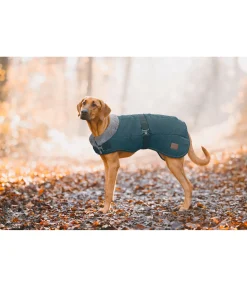 Manteau d'hiver pour chien avec doublure en fourrure Teddy Gizmo, 200 g