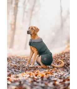 Manteau d'hiver pour chien avec doublure en fourrure Teddy Gizmo, 200 g