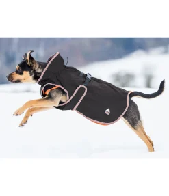 Manteau pour chien Ceramic Rehab