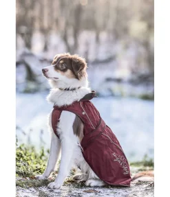 Manteau pour chien 2 en 1 Ally