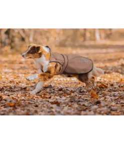 Manteau pour chien 2 en 1 Ally