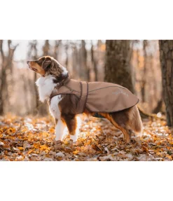 Manteau pour chien 2 en 1 Ally