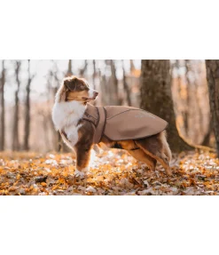 Manteau pour chien 2 en 1 Ally