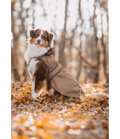 Manteau pour chien 2 en 1 Ally