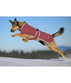 Manteau pour chien softshell avec col polaire Frida