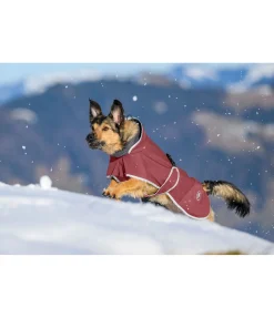 Manteau pour chien softshell avec col polaire Frida