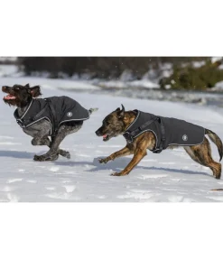 Manteau softshell pour chien avec harnais intégré Cruz, 160 g