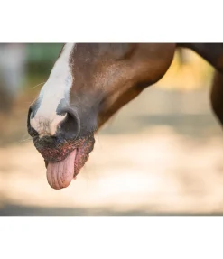 Mash aux fruits Pomme Harvest