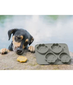 Moule à gâteau pour chien en silicone