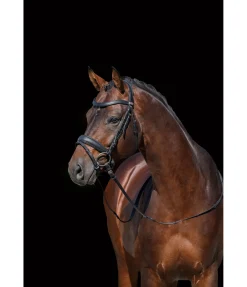 Muserolle suédoise en cuir gras avec noseband et boucle amovible Mix & Match PRO