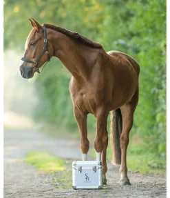 Petite mallette Alu Care Case