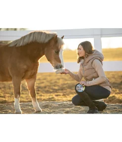 Pierre à lécher Anti-stress