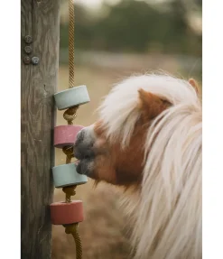 Pierre à lécher Salty Lick Vitamine C