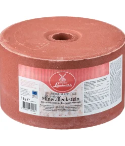 Pierre à lécher minérale