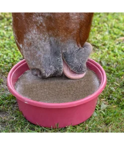 Pierre à lécher minérale Daily