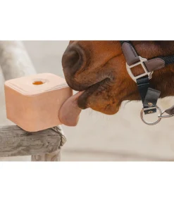 Pierre de cristal de sel pressée