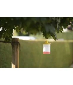 Piège à mouches FlyCage3