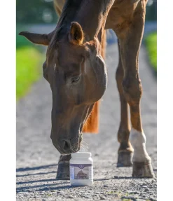 Poudre pour l'estomac DarmRein