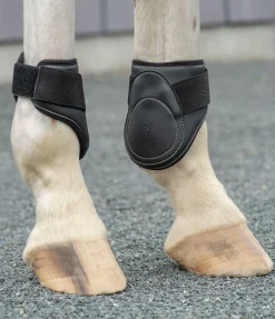 Protège-boulets Exclusive