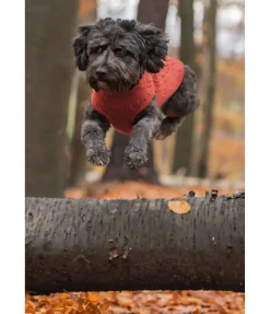 Pull col roulé Maisie