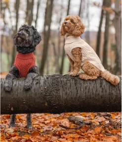 Pull col roulé Maisie