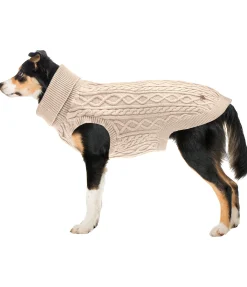 Pull col roulé Maisie