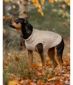 Pull col roulé Maisie