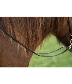 Rênes en BioThane Grip