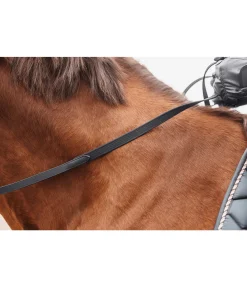 Rênes en cuir Anti-Slip