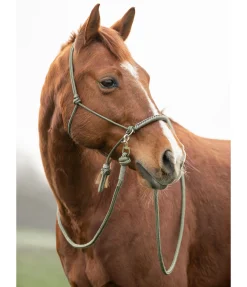 Rênes fermées Bonny