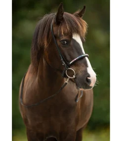 Rênes pour islandais