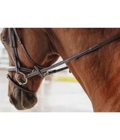 Rênes sangle en cuir gras Stitch