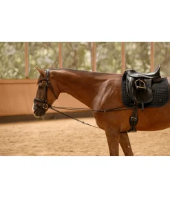 Rênes viennoises Slide II