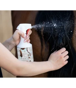 Shampoing en spray Noix de coco fraîche