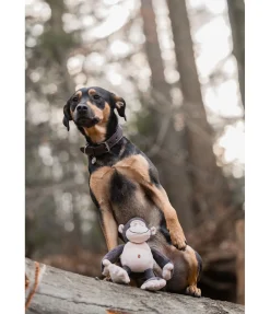 Singe en peluche pour chien Alfie