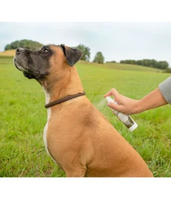 Spray pelage pour chien Evergreen Woods