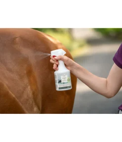 Stop insectes pour le cheval et le cavalier