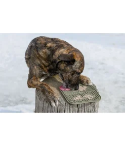 Tapis de léchage pour chien Classic Line