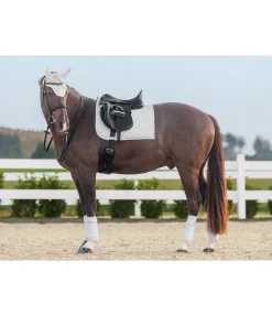 Tapis de selle Brillant