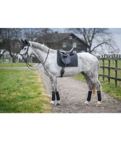 Tapis de selle Brillant