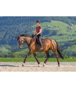 Tapis de selle en coton Basic Deluxe