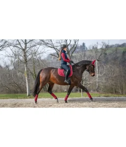 Tapis de selle en coton Basic Deluxe