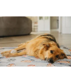 Tapis pour chien Glow in the Dark