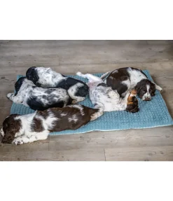 Tapis pour chien Let Me Sleep