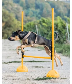 Taquets d'agility