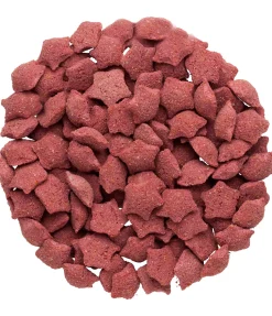 Étoiles sureau-églantine