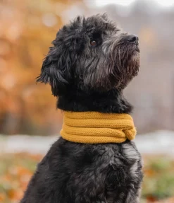 Tour de cou en tricot pour chien Espi