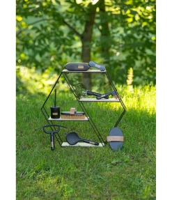 Étrille américaine Maya