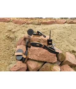 Étrille américaine Maya