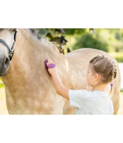 Étrille en caoutchouc Mini